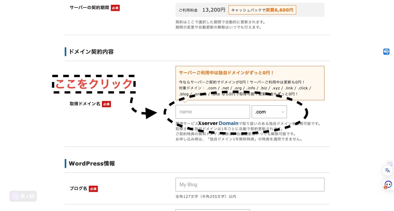 取得ドメイン名